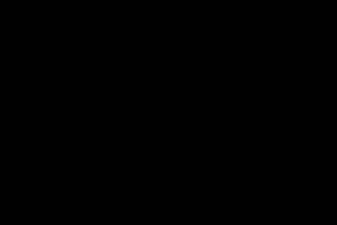 A simple black silhouette of a cat, featuring pointed ears and an arched back, on a transparent background.
