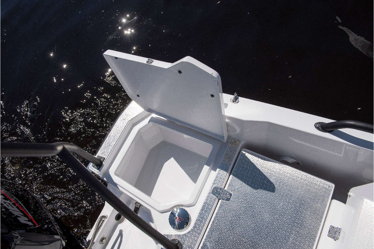 Falcon BRs4 Interior image 6