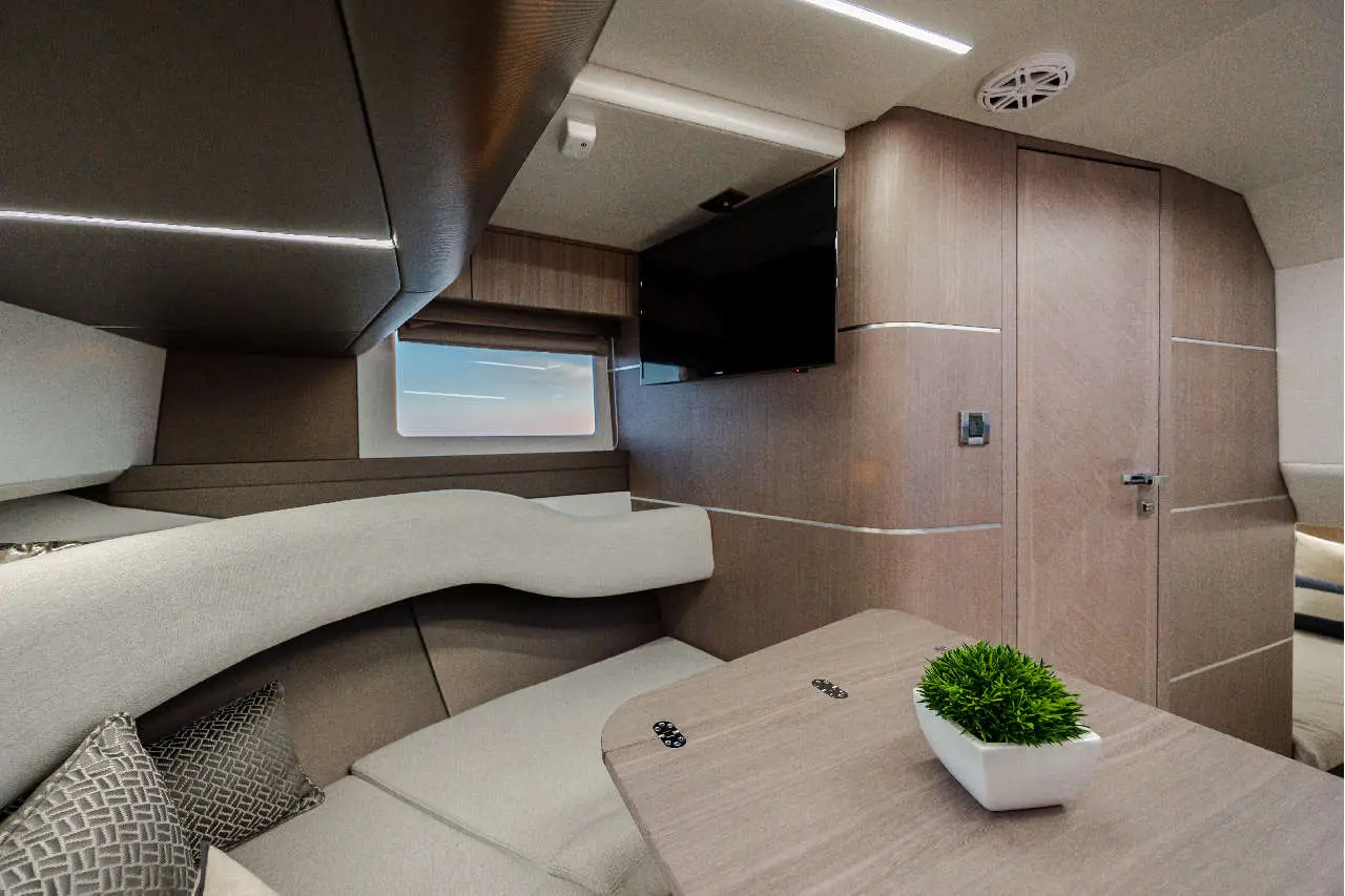 Stylish yacht interior featuring a lounge, TV, and modern decor with a small plant on a table and soft furnishings.