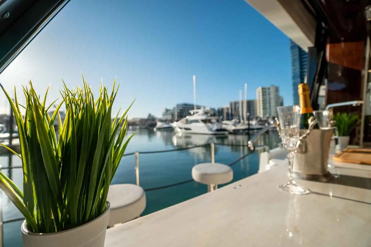 A potted plant in foreground, champagne glasses and ice bucket, with yachts and modern buildings reflected in the marina.