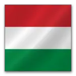Hungarian flag featuring horizontal stripes of red, white, and green, placed within a black border.