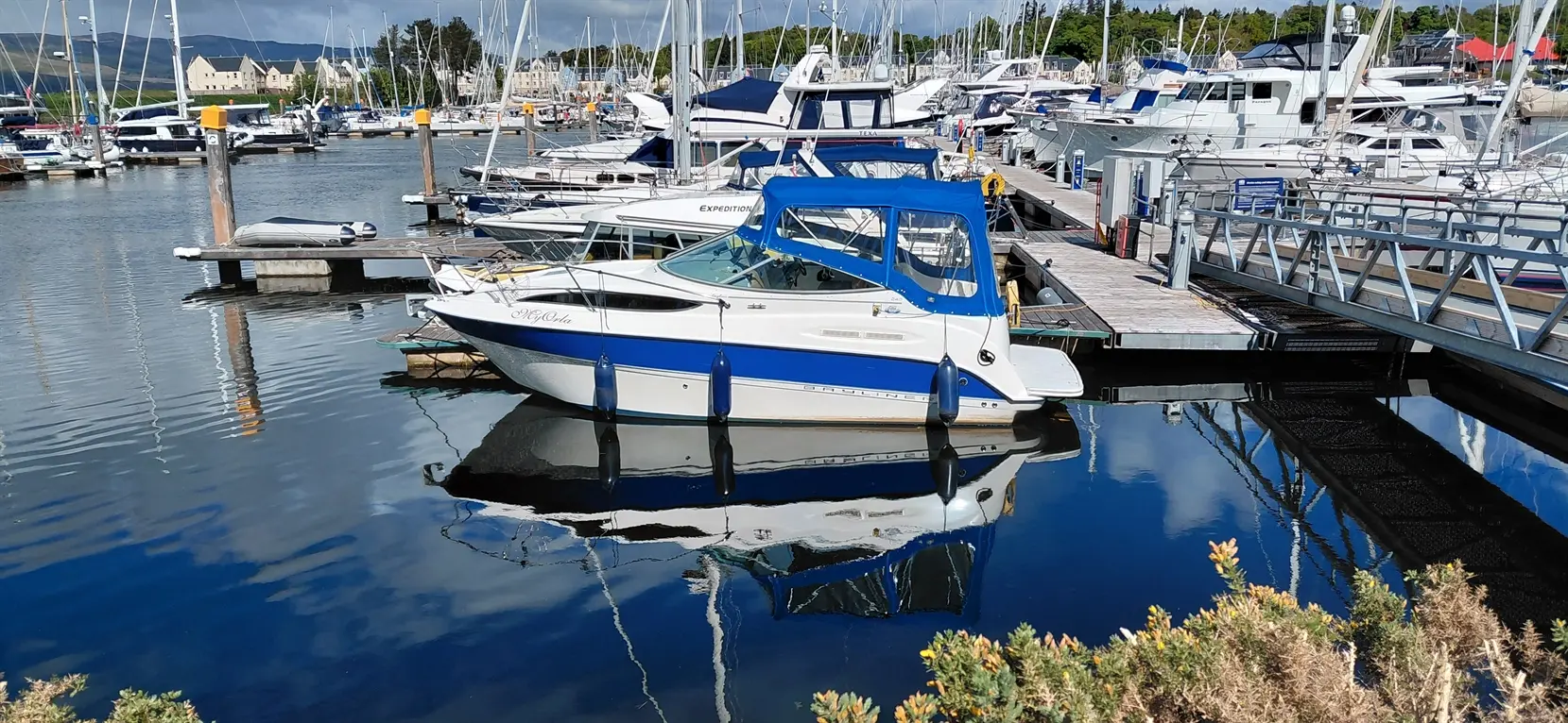 A white and blue boat docked at a marina, reflecting in calm water, surrounded by other boats and a wooden pier.
